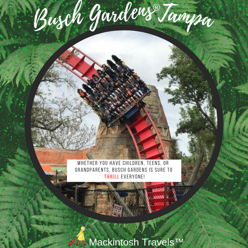 Busch Gardens Tampa Bay Theme Park