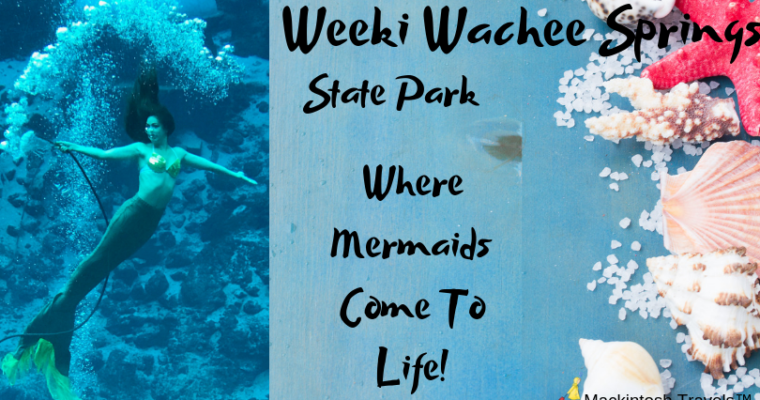 Weeki Wachee Springs State Park | Where Mermaids Come To Life