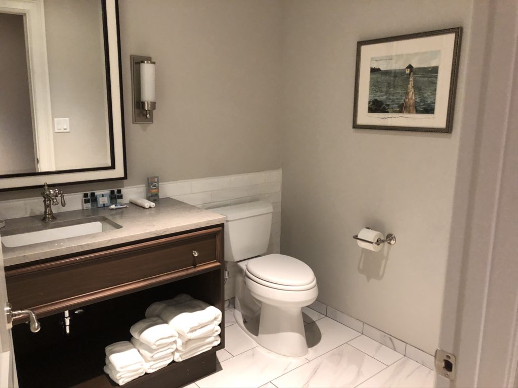 Toilet and vanity