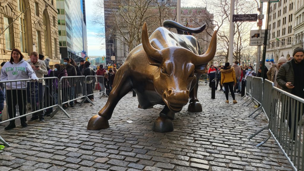 bull in NYC