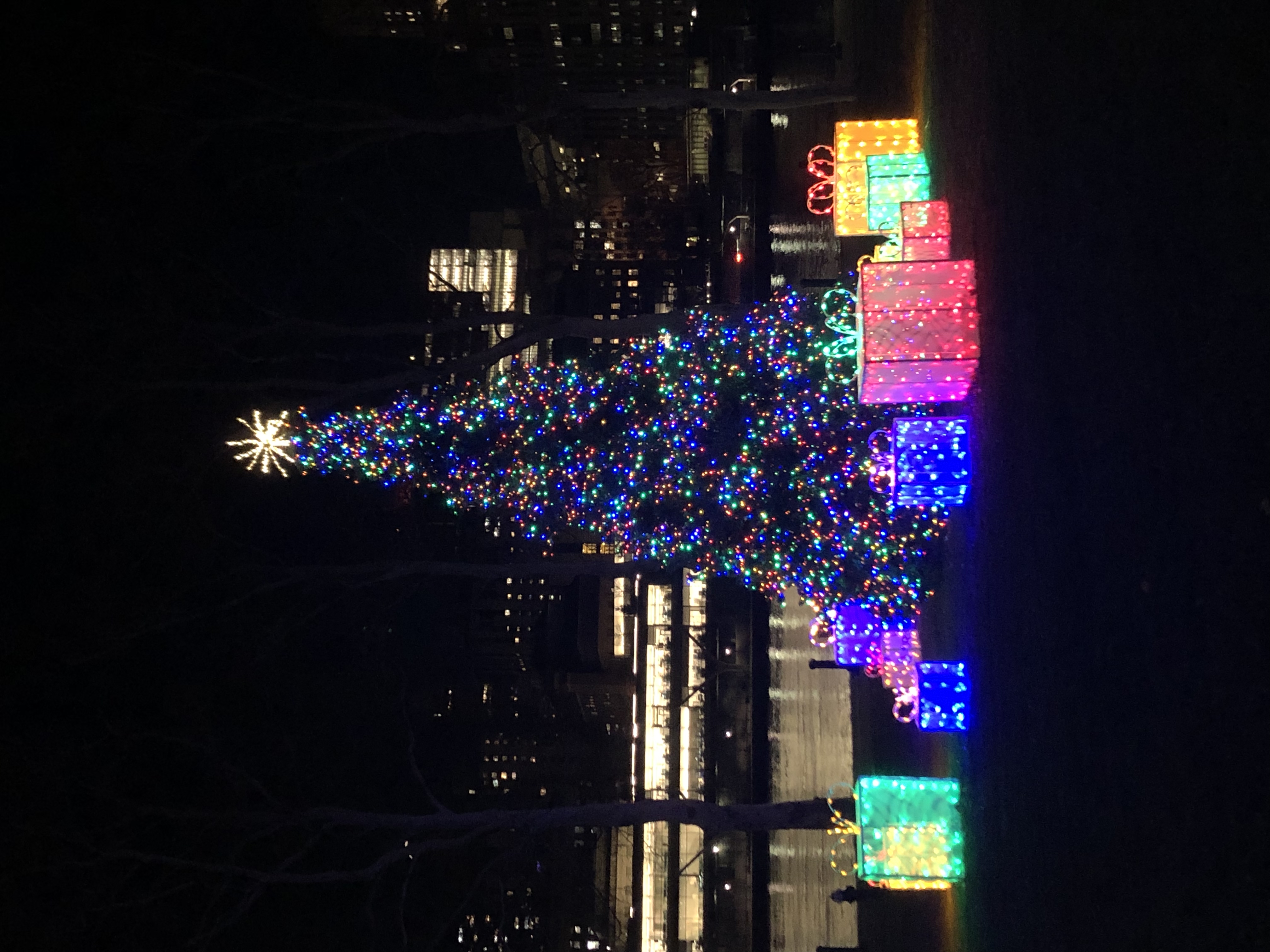 Christmas tree at Roosevelt Island