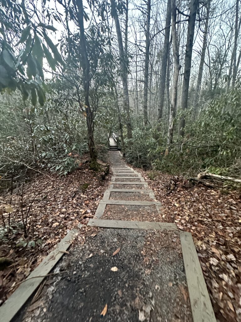 steps to silver run falls