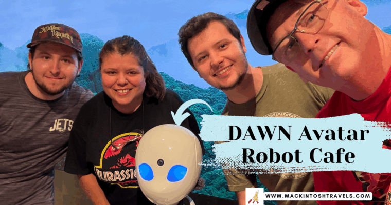 DAWN Avatar Robot Cafe