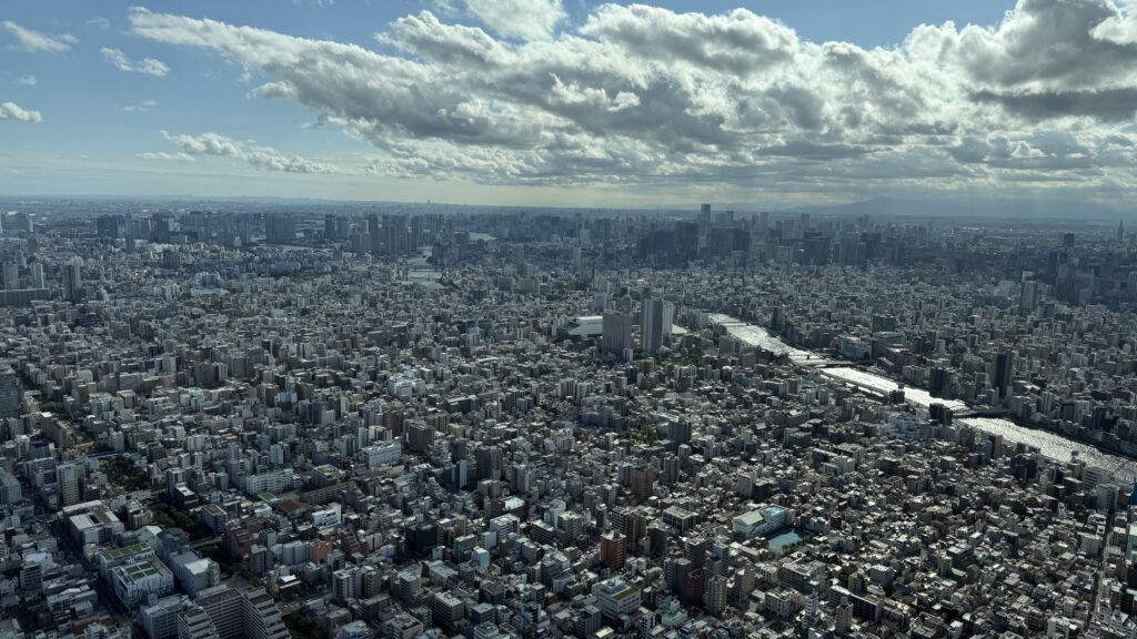 density of Tokyo from Tokyo Skytree
