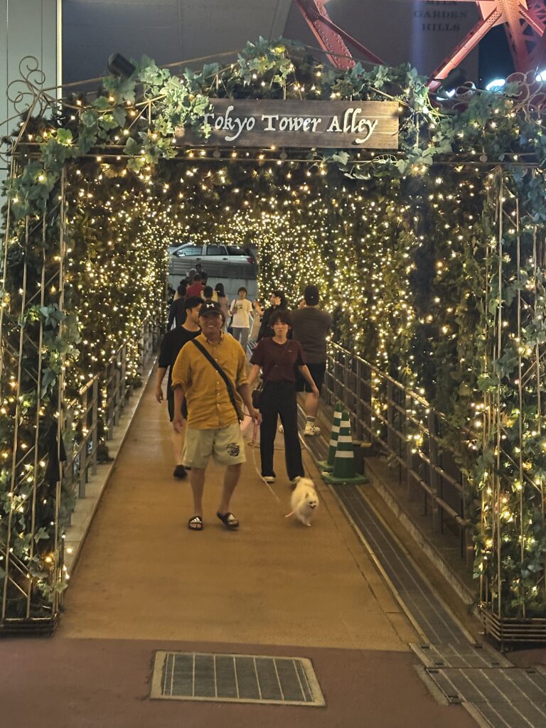 Foot Town at Tokyo Tower