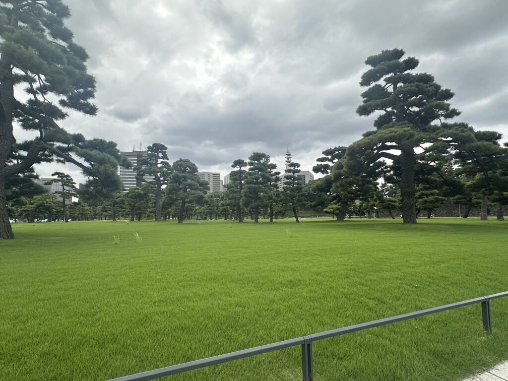 park area