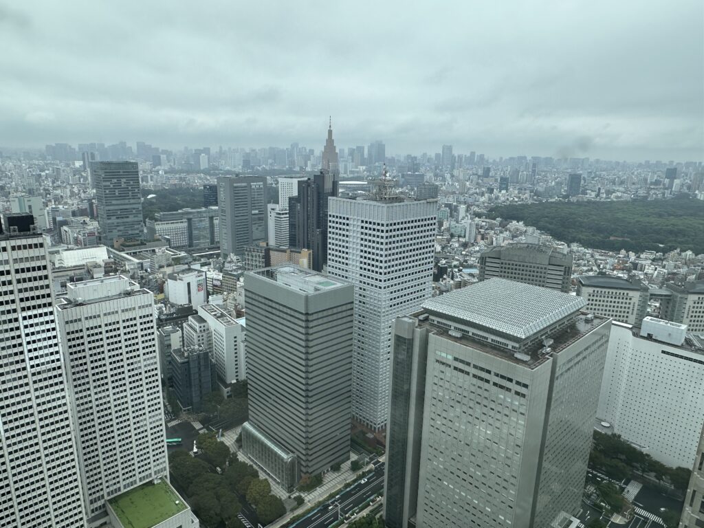 Views from the Tokyo Metropolitan Observation Deck