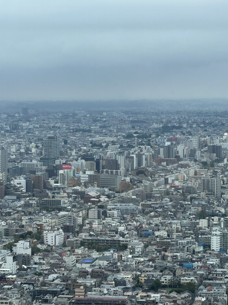 Tokyo Metropolitan Observation Deck