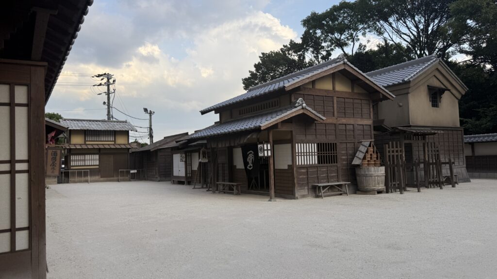 Exploring Kyoto's cultural treasures